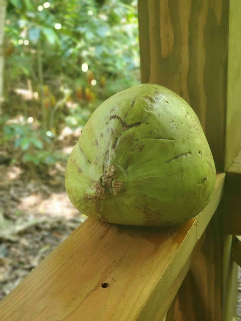 CLOSE-UP OF FRUIT ON WOOD