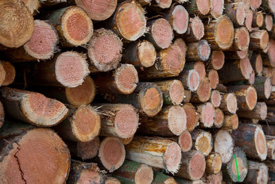 Full frame shot of logs