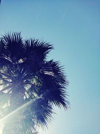 Low angle view of palm tree against clear blue sky