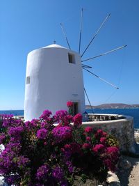 View of flowering plants against blue sky