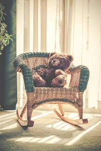 View of an animal sitting on chair at home