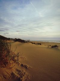 Scenic view of beach against cloudy sky