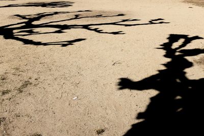 Shadow of people on wall