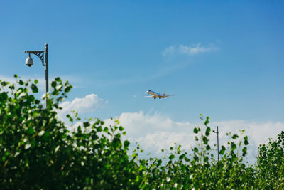 Low angle view of airplane flying against sky