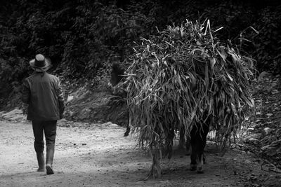 Rear view of woman walking on field