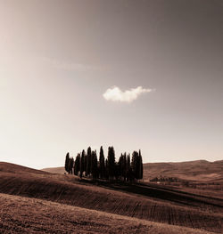 Panoramic view of agricultural field against sky