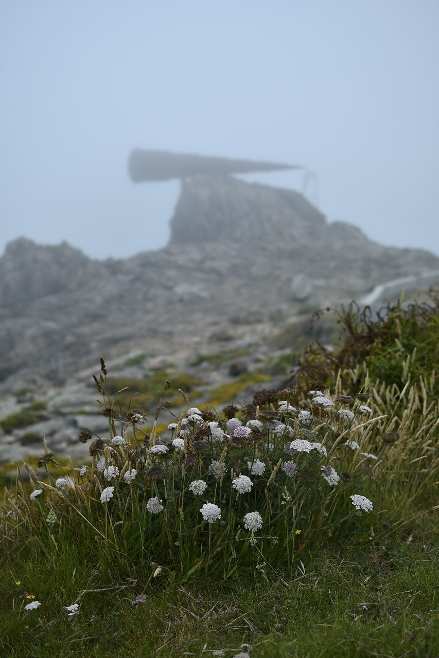 Arteixo Emotion Arteixo Niebla Flores Paisaje Acoruña Galicia SPAIN Nikon 35mm Foggy Rocky Mountains Mountain Grave Gravestone Mountain Range First Eyeem Photo