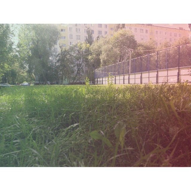 transfer print, auto post production filter, grass, growth, tree, green color, field, plant, clear sky, built structure, grassy, building exterior, nature, architecture, fence, day, outdoors, tranquility, no people, sunlight