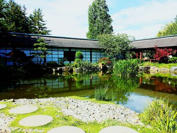 Trees growing against sky