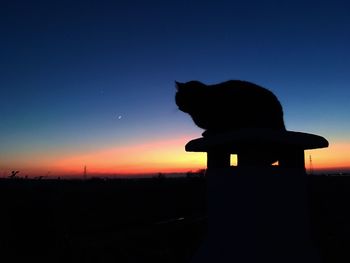 Silhouette cat on field against sky during sunset