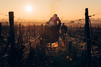 Rear view of man on field against sky during sunset