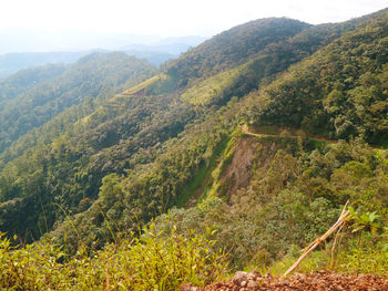 Scenic view of landscape