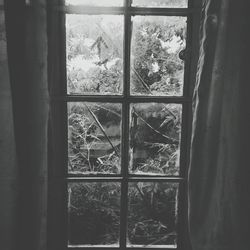 window