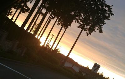 Silhouette palm trees against sky during sunset