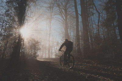 Rear view of man riding bicycle in forest