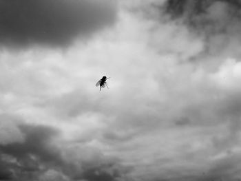 Low angle view of helicopter against sky