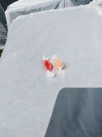 High angle view of snow on red leaf