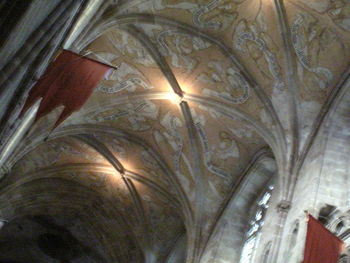 Low angle view of tree against sky