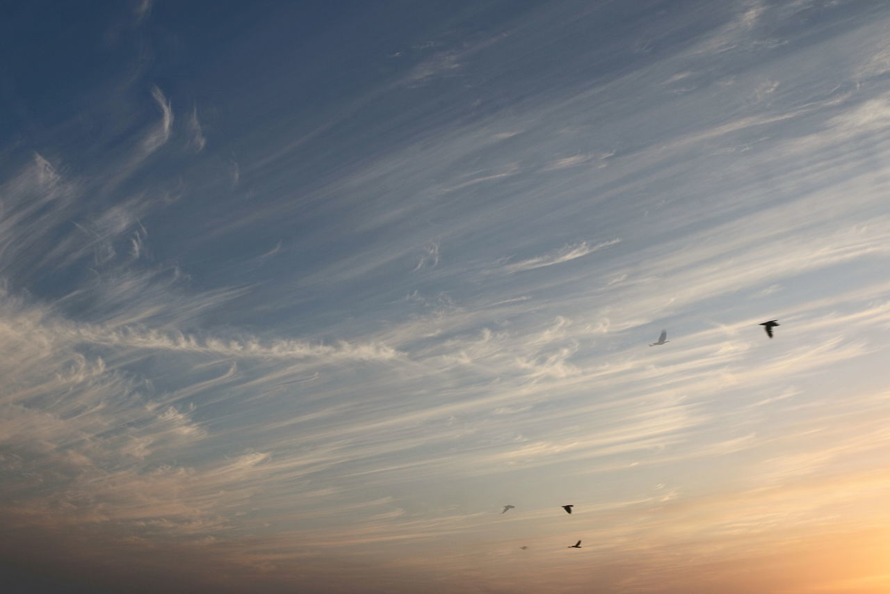 Low angle view of cloudy sky