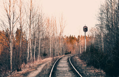 Empty road along trees and plants