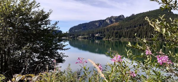 Scenic view of lake by trees against sky