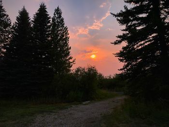 Silhouette trees on landscape against sky during sunset