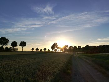 Scenic view of field against sky during sunset