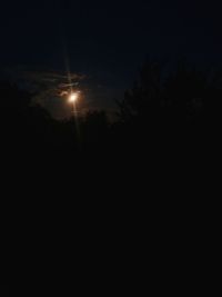 Low angle view of silhouette trees against sky at night