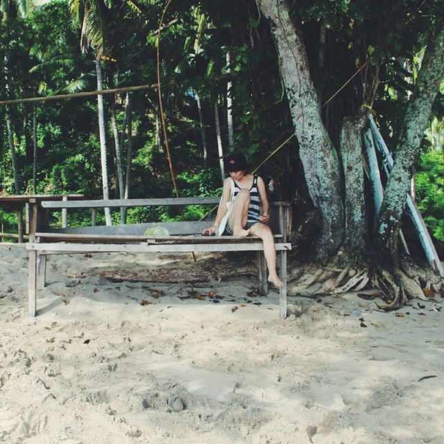 tree, tree trunk, forest, growth, nature, sunlight, wood - material, day, park - man made space, tranquility, outdoors, abandoned, plant, absence, no people, bench, built structure, branch, railing, green color