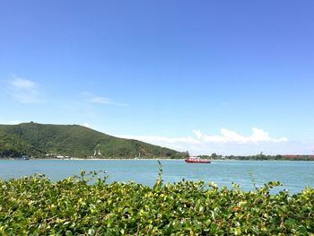 View of calm sea against blue sky