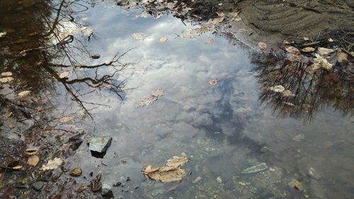 High angle view of ducks in lake