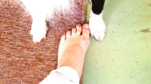 Low section of person standing on tiled floor