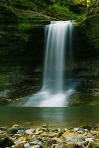 Scenic view of waterfall in forest