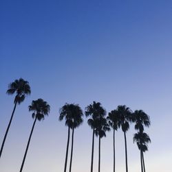 Low angle view of palm tree against clear blue sky