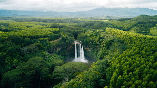 Scenic view of waterfall