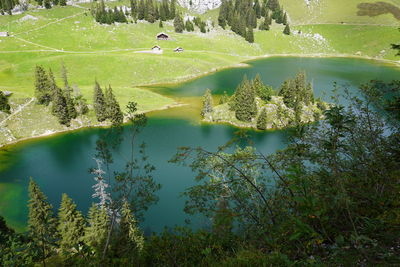 High angle view of lake amidst trees