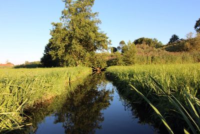 Scenic view of canal amidst field against clear blue sky