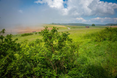 Scenic view of field against sky