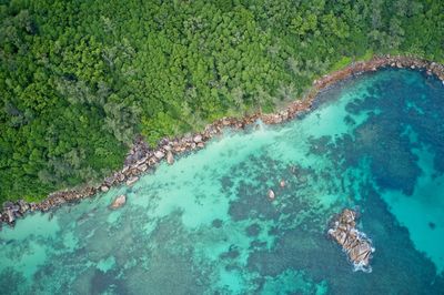 Drone field of view of turquoise blue waters meeting green forest praslin, seychelles.