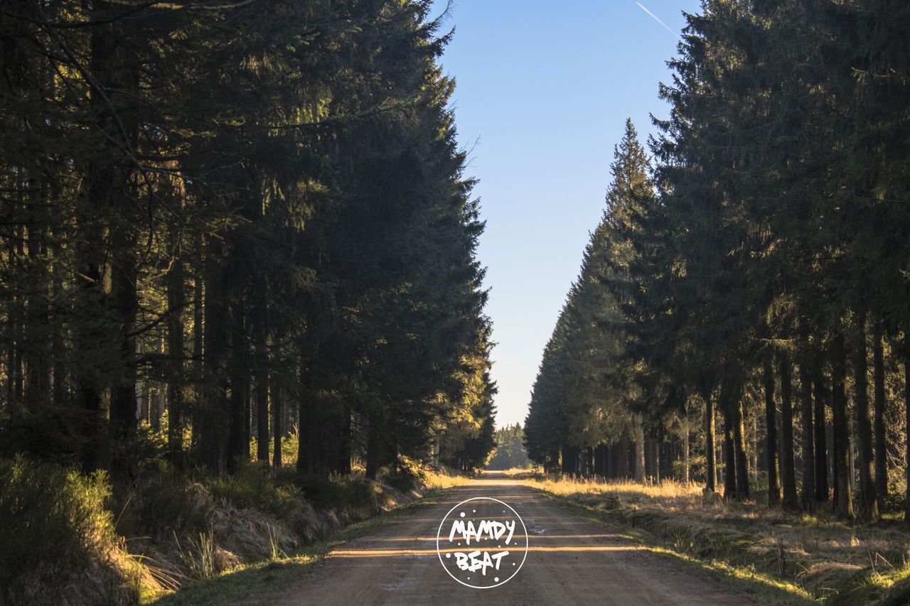 EMPTY ROAD AMIDST TREES AGAINST SKY