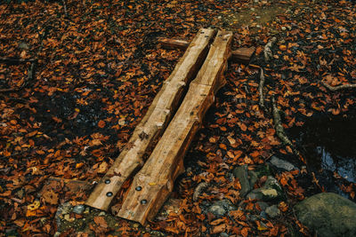 High angle view of log on field during autumn