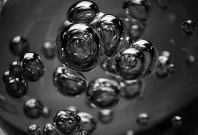 Close-up of water drops on leaf