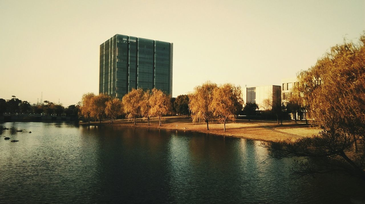 architecture, building exterior, built structure, clear sky, reflection, water, tree, city, waterfront, skyscraper, tall - high, river, building, modern, office building, tower, lake, copy space, growth, sky