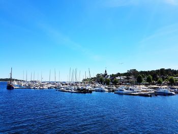 Sailboats in marina