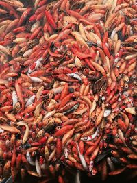 Full frame shot of red chili peppers