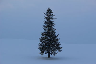 Tree on snow covered land against clear sky
