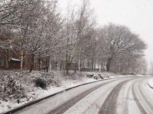 bare tree, tree, transportation, the way forward, snow, winter, road, cold temperature, clear sky, diminishing perspective, weather, vanishing point, season, nature, tranquility, branch, day, tranquil scene, street, outdoors