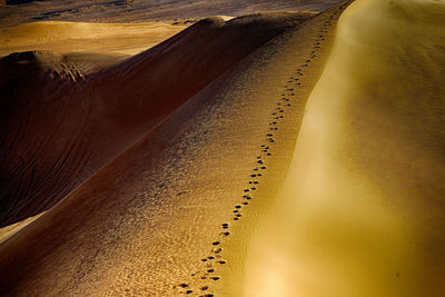 Aerial view of desert