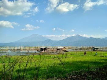 Scenic view of field against sky