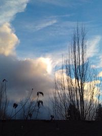 Silhouette bare trees against sky during sunset